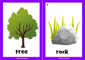 nature-flashcards