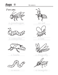 bugs-coloring-worksheet