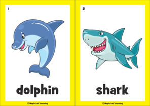 aquarium-animal-flashcards