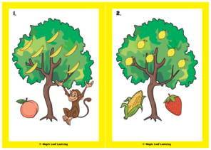 banana-tree-song-flashcards