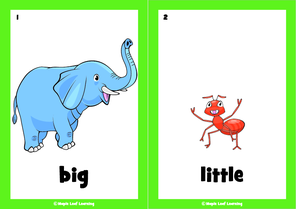 big-big-big-song-flashcards