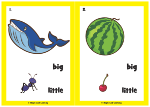 big-little-song-flashcards