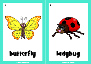 butterfly-song-flashcards