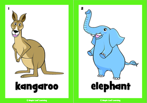 the-animal-song-flashcards