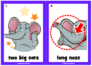 the-elephant-dance-song-flashcards