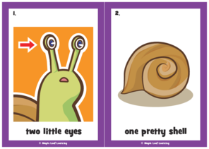 the-snail-song-flashcards