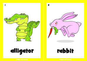 the-zoo-song-flashcards