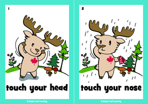 touch-your-head-song-flashcards