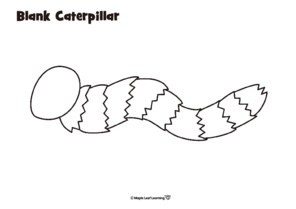 blank-caterpillar-worksheet