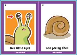 The Snail Song Flashcards