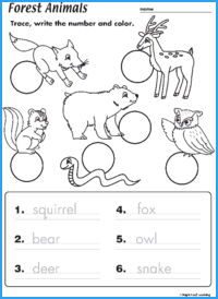 Forest Animals Worksheet | Maple Leaf Learning Library