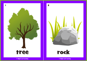 Nature Flashcards