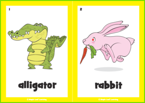 Zoo Animal Flashcards | Maple Leaf Learning Library