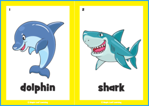 Aquarium Song Flashcards