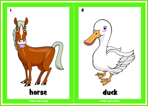 At the Farm Flashcards