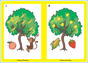 Banana Tree Song Flashcards