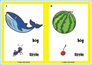 Big, Little Song Flashcards