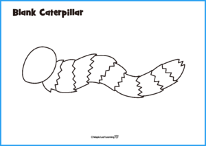 Blank Caterpillar Worksheet