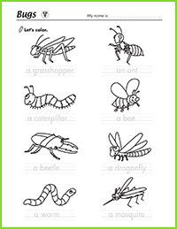 Bugs Coloring Worksheet