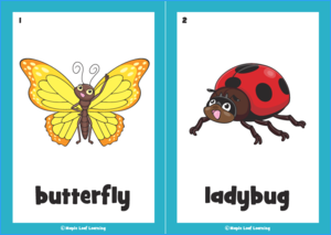 Butterfly Song Resources