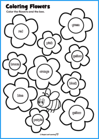 Coloring Flowers Worksheet