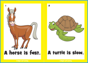 Fast, Slow Song Flashcards