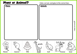 Plant or Animal? Activity