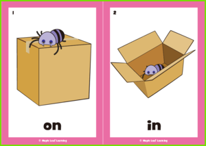 Prepositions Flashcards