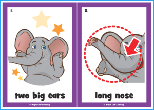 The Elephant Dance Song Flashcards
