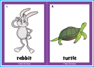 The Rabbit and the Turtle Resources